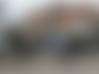 𝗢𝗻 𝗱𝗶𝘁 "𝗢𝗨𝗜" 𝗮𝘂 𝗗𝗼𝗺𝗮𝗶𝗻𝗲 𝗪𝗘 !