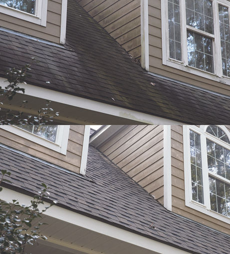 Roof Split Photo.jpg