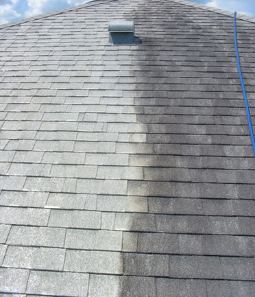 roof3.jpg