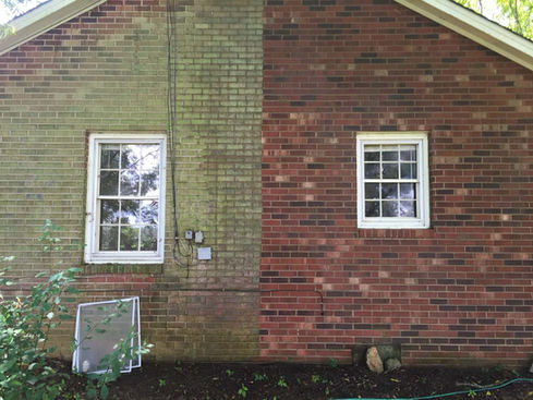 Moldy-House.jpg