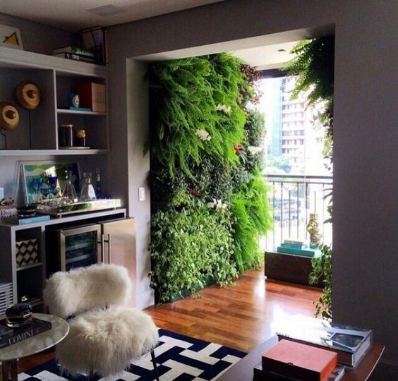Vegetação e decoração