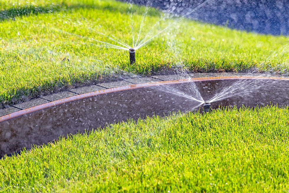 Sprinkler Installation
