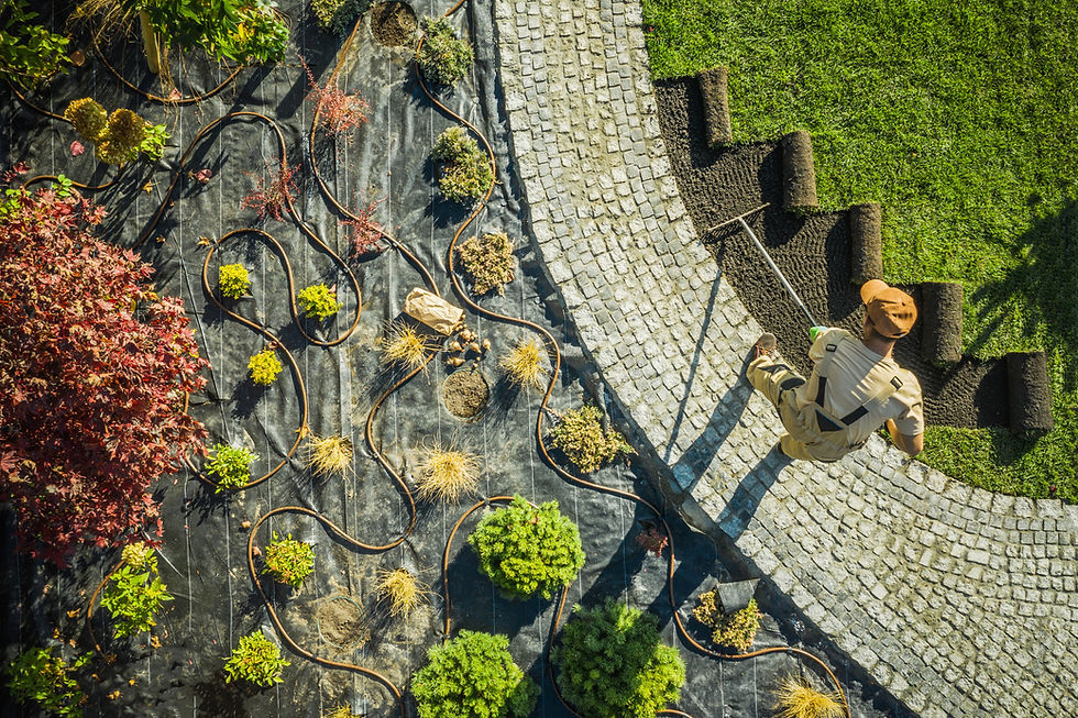 Landscaping Design and Installation