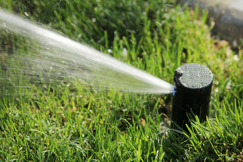 Sprinkler Repair