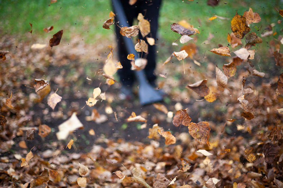 Cleanup