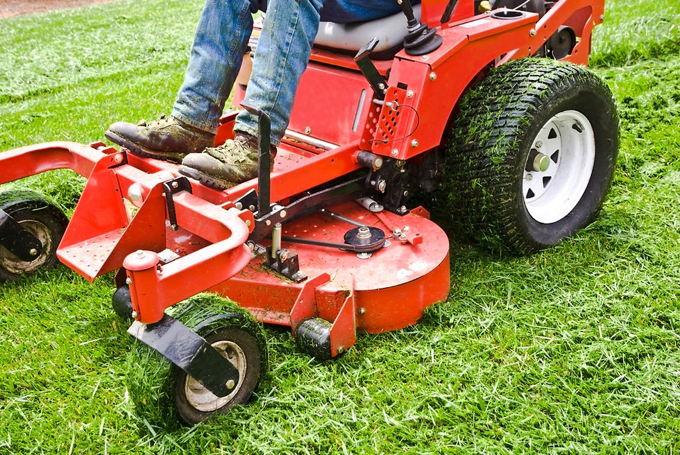 Lawn Mowing