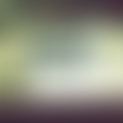 Farewell to our Office Team