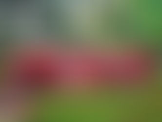 Karya Wisata Pepito Day Care