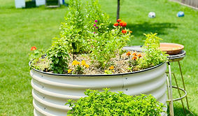 Birdies Raised Bed in the backyard of aThe Huntsville Gardener.