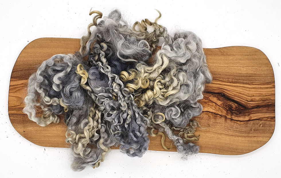 Wensleydale Curls 10g - Grey