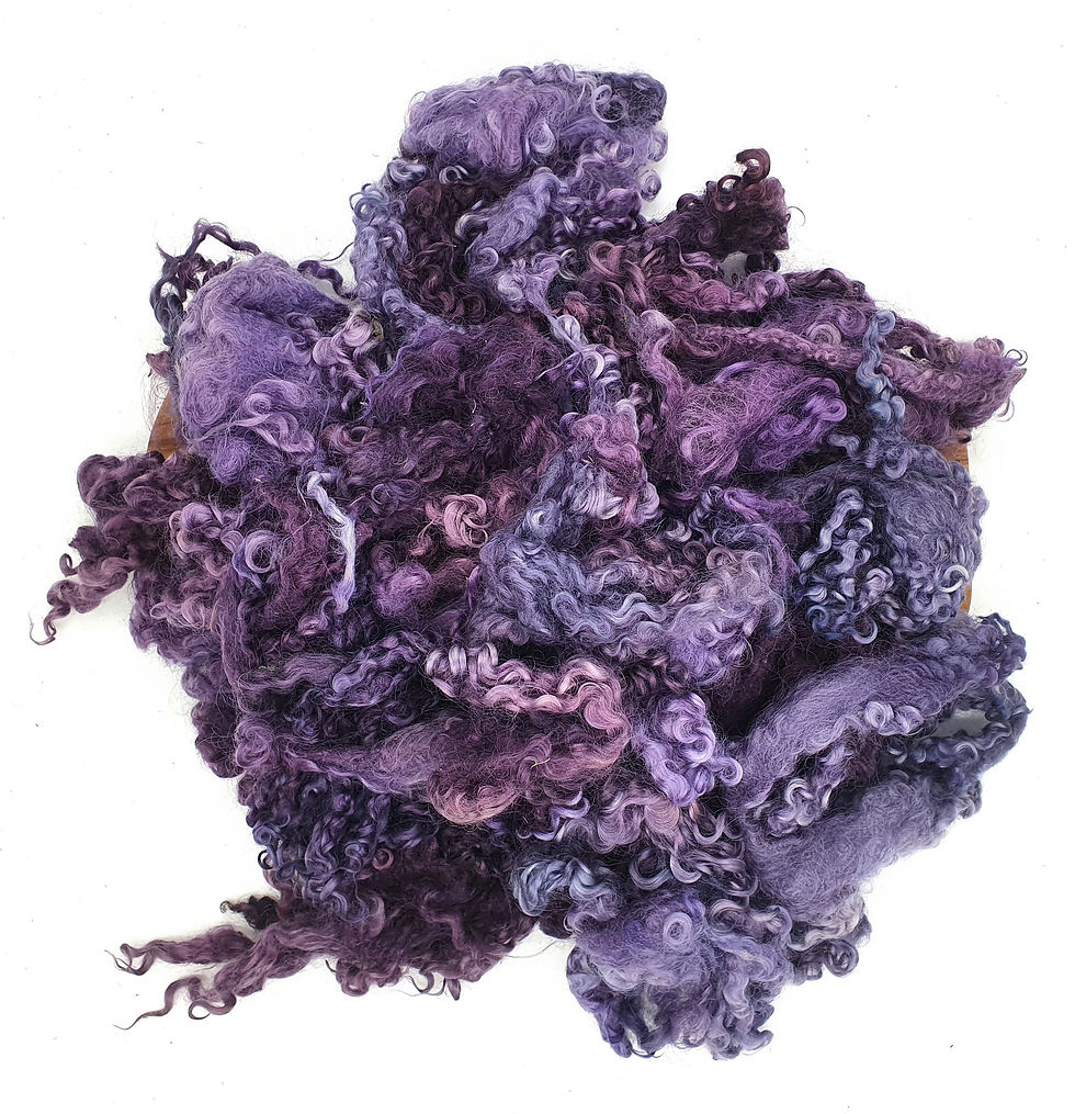 Wensleydale Curls 10g - Blueberry