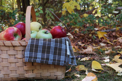 Apple basket, tea towel, plaid, kitchen, cooking, baking, gifts, sewing