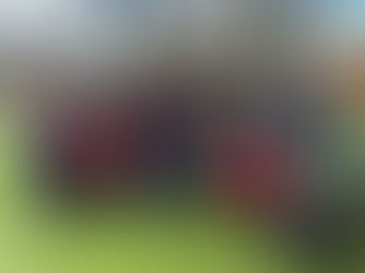 LA ESGARAVITA RECIBE A MAFEKING 