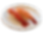 N3.Ebi