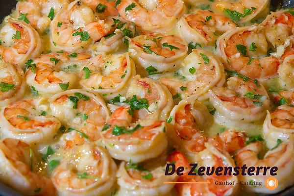 scampi lic canva (1).png