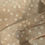Thumbnail: Marcus Fabrics: Aged Muslin- Dapple Dots Sandy Beige Cotton Fabric