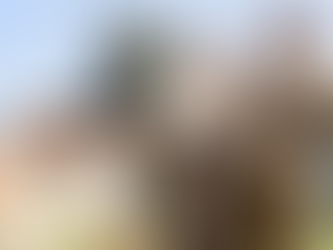 Stylist Courtney Mays Teams With Major League Soccer for Adidas Archive Jersey Collection