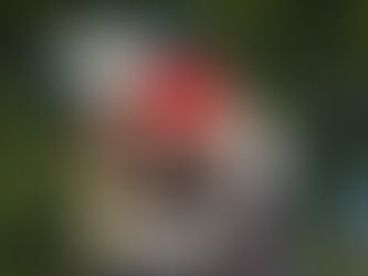 THE IMPORTANCE OF SUNGLASSES IN WINTER