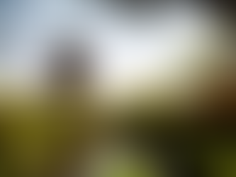 EXCLUSIVE: Dior to Show Pre-fall Line in Japan