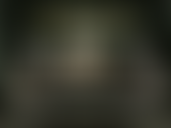 EXCLUSIVE: Louis Vuitton Celebrates Art Deco Style in Paris