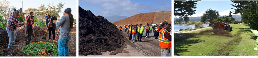 Untitled design (15).png