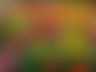 Uncovering the Secrets of Seasonal Landscaping: Tips to Elevate Your Yard's Aesthetic Appeal