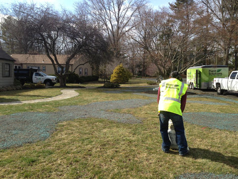 11 GRASS SEEDING TIPS TO GET YOUR SPRING SEASON OFF TO A GREAT START