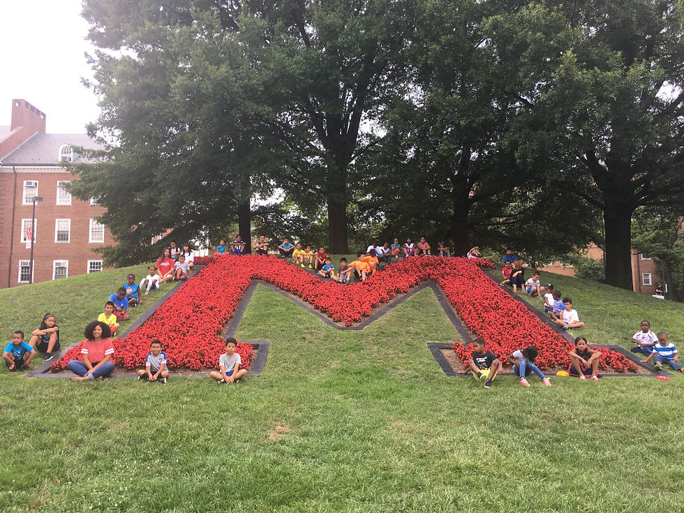 Programa academico en la Universidad