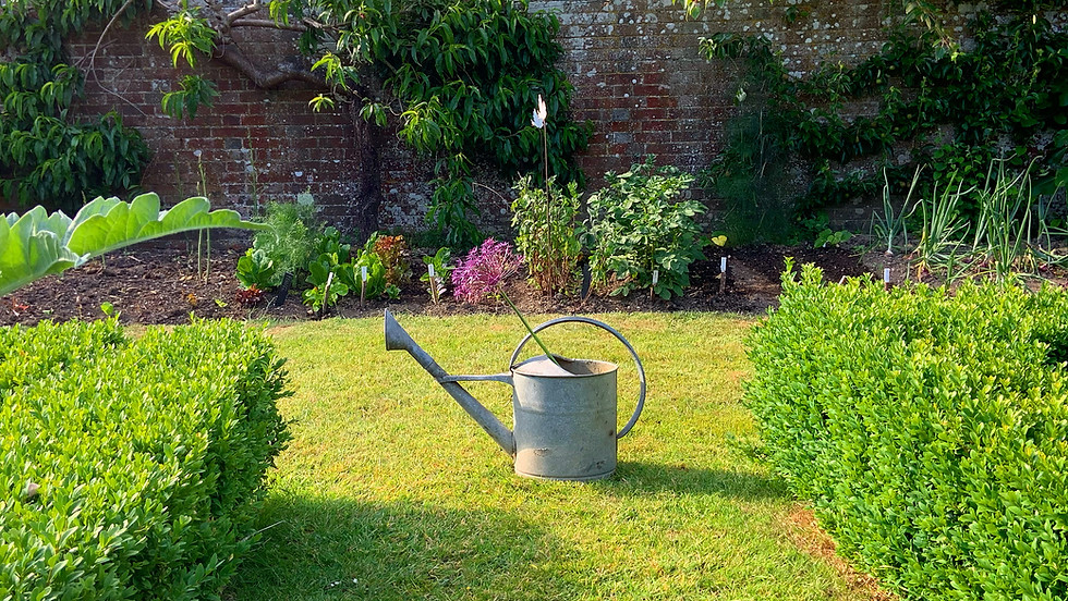 The Kitchen Garden in June