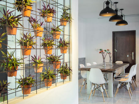 Johor's Hidden Airbnb: Exploring Homestay