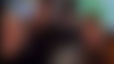 INSEAD Sustainability Capstone