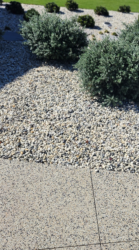 Client Photo 3.jpg