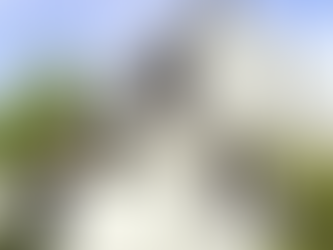 Masterfully curated and luxuriously appointed