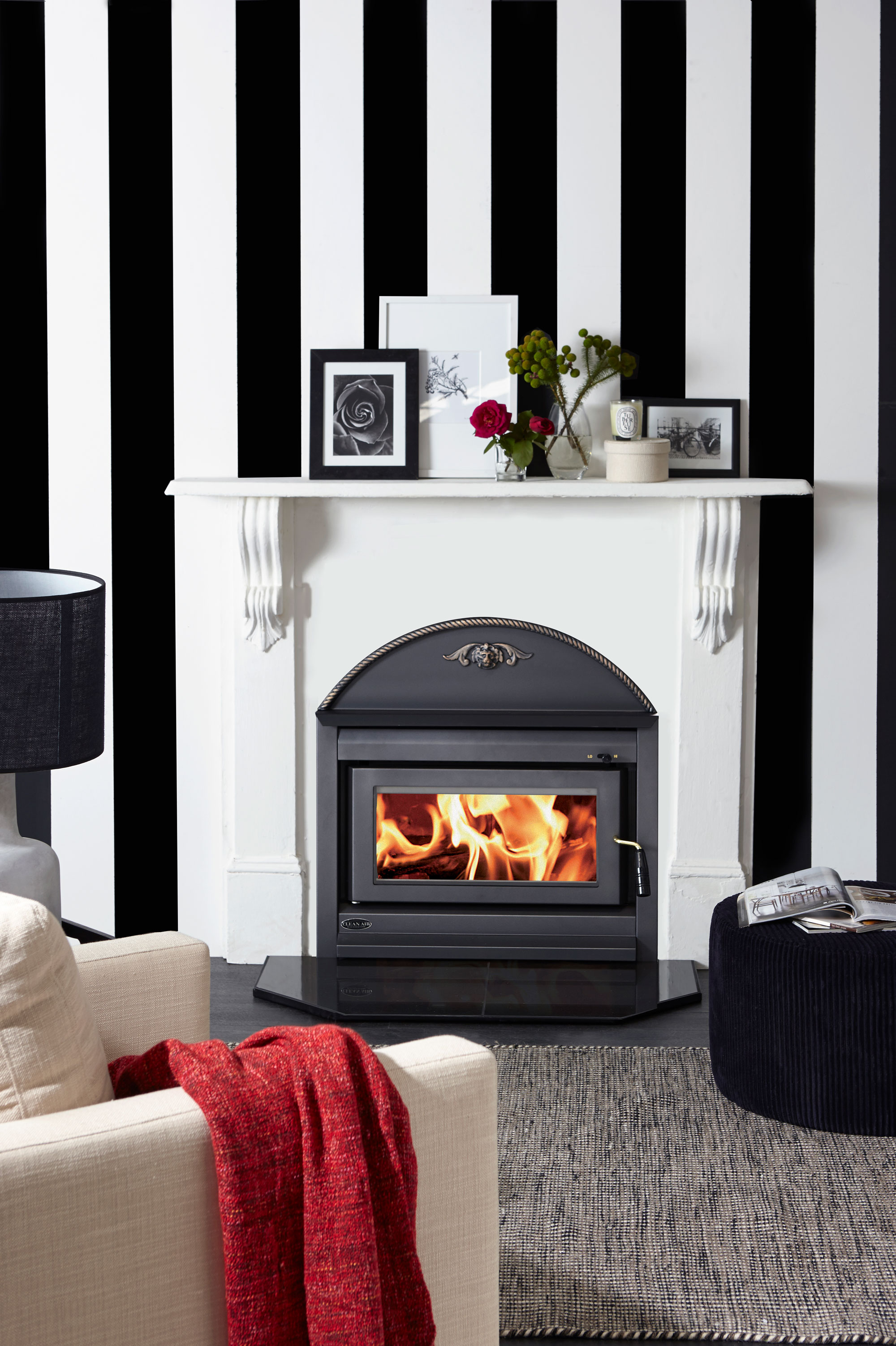 Cleanair Insert Victorian