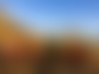 Das Team der Stiftung Zukunft Wald hebt Spaten und Baumsetzlinge in die Höhe