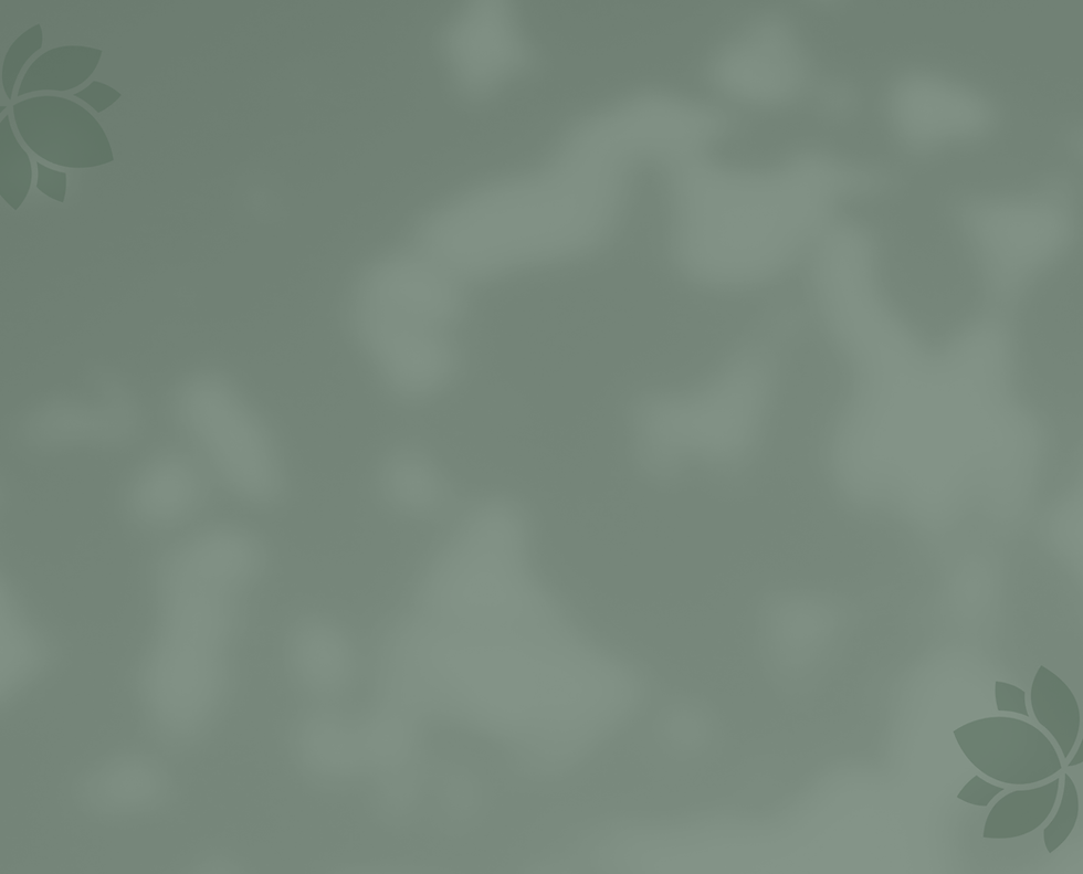 Soreya Web Elements.png
