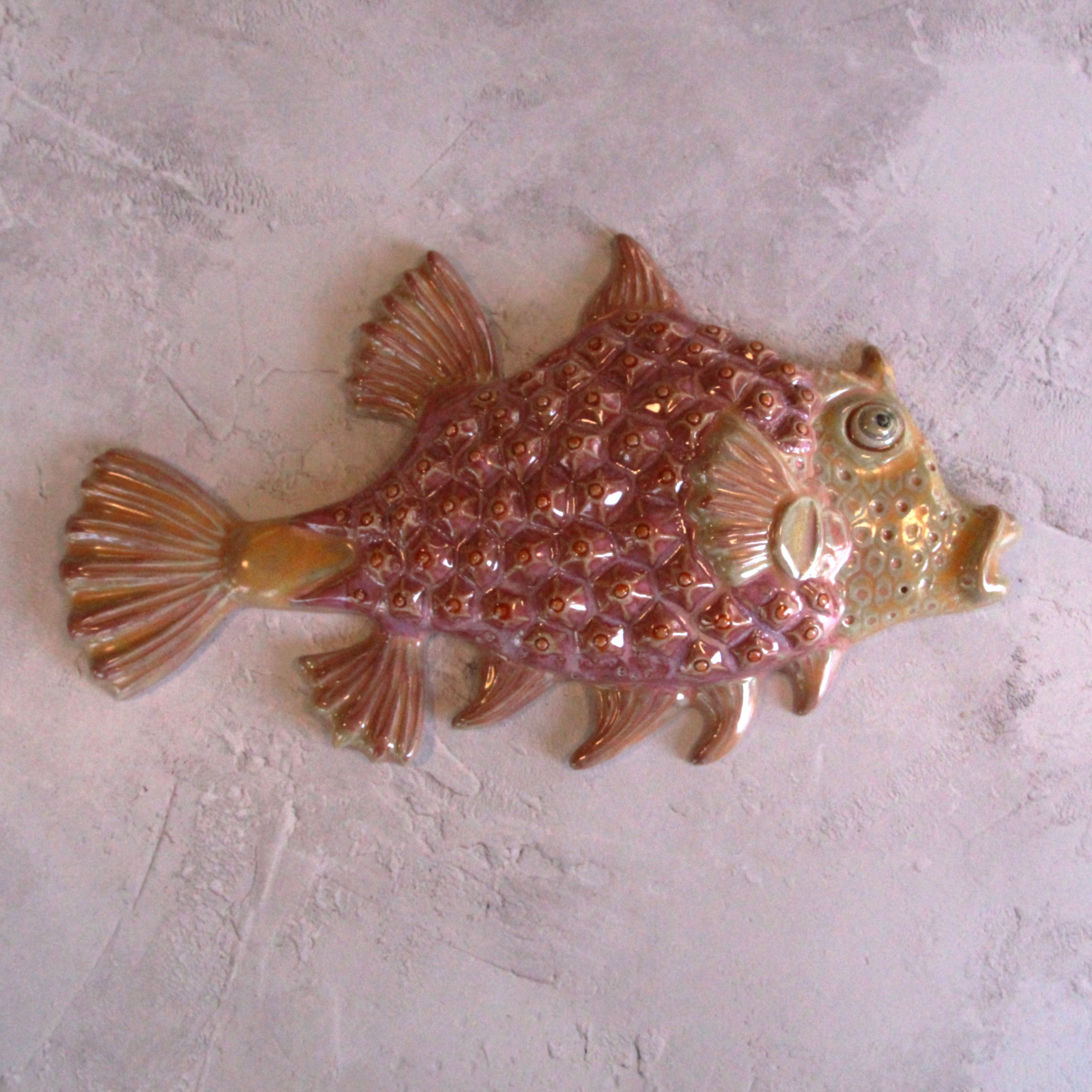 Hæckel Fish
