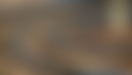 Watering Trees in the Overstrand: The Right Way (and the Mistakes Everyone Makes)