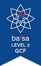 BAFSA_l2_1705.png
