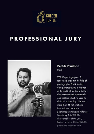 Golden turtle photo contest Russia Jury member or Judge