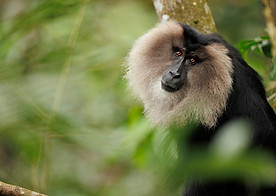 PUP_7570_edited.jpg