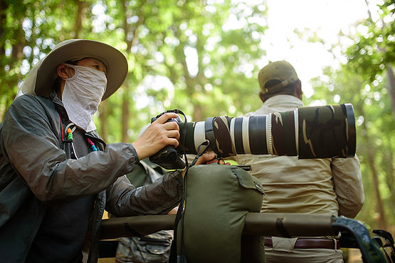 Best Tiger Safaris In India