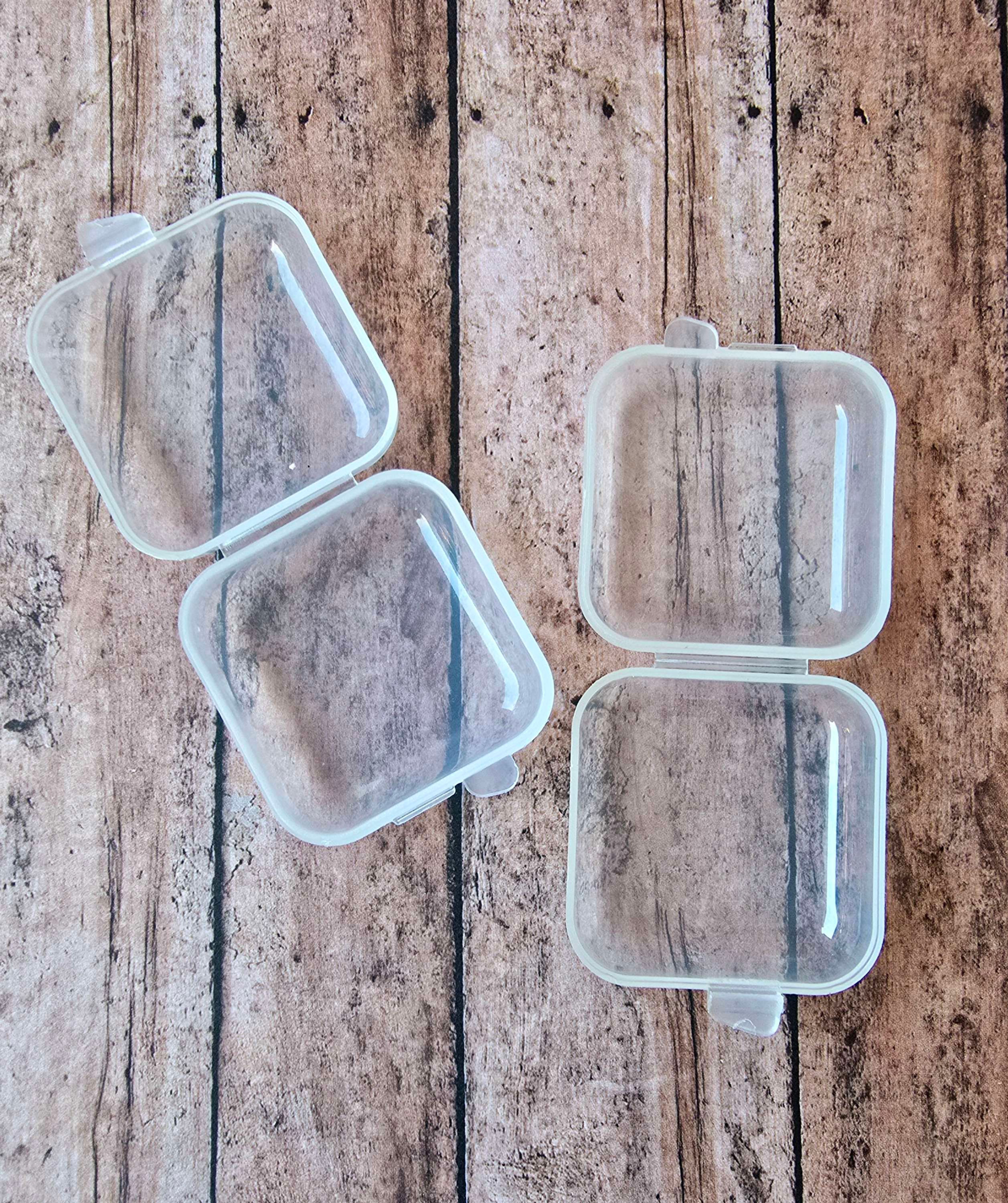 Small Clear Hinged Organizers