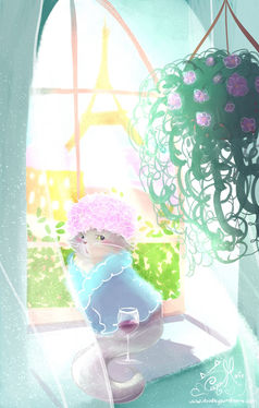 IMG_7557.jpeg