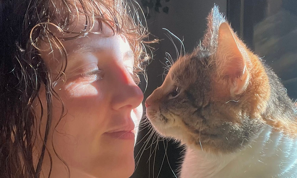 🐌 A small beginning