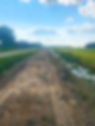 Farm road and levee repair.