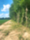 Forestry mulching example.