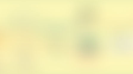 Yüksek Lisans Yol Haritası