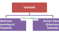 İstatistiğin İki Ana Bölümü