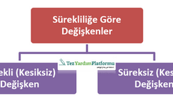 Sürekli ve Süreksiz Değişken Nedir?